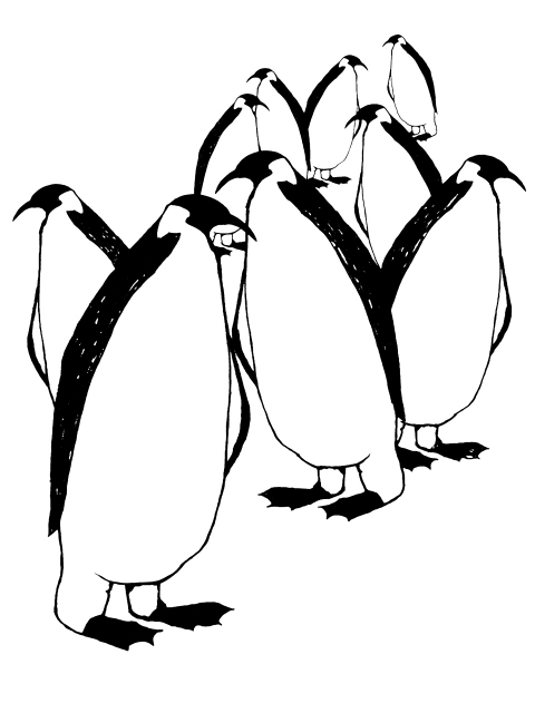 Penguins 